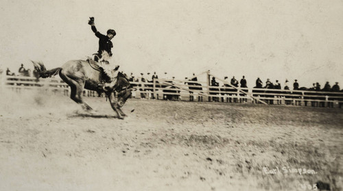 California Rodeo