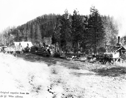 Logging train