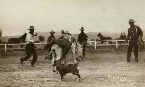 California Rodeo