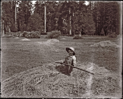 Child in a pile of hay