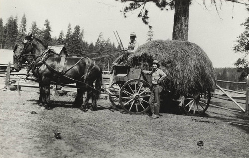 Farming Scene in Chester