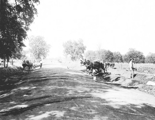 Building irrigation ditches. Durham State Land Settlement, Durham, Calif