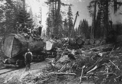 Loading logs at Ramsey Bar