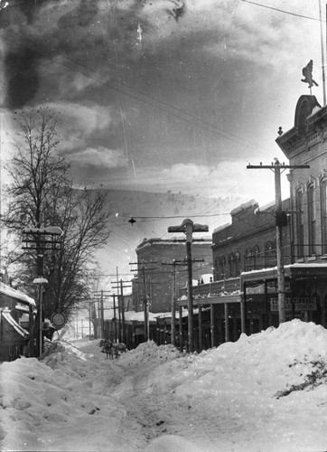 Snowy Miner St