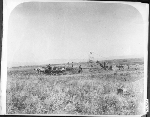 Stacking Hay with Jackson Fork