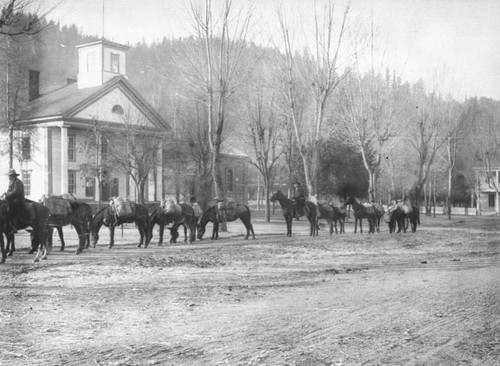 Pack Train in Front of Quincy Courthouse