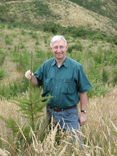 Tree farm--Soper-Wheeler Company