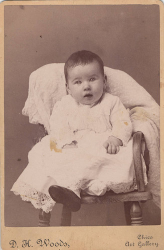 Portrait of a Baby