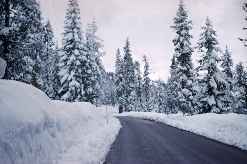 Lassen Volcanic National Park