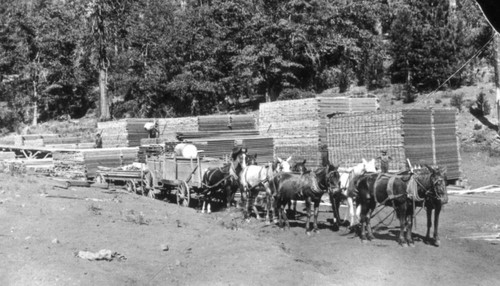 Lumber transportation at Cohasset Mill