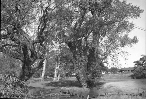 Creek on Historic Route 99 East, Close to Chico