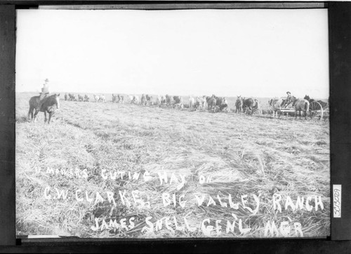 Cutting Hay at Big Valley Ranch