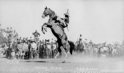 Paddy Ryan in Rodeo