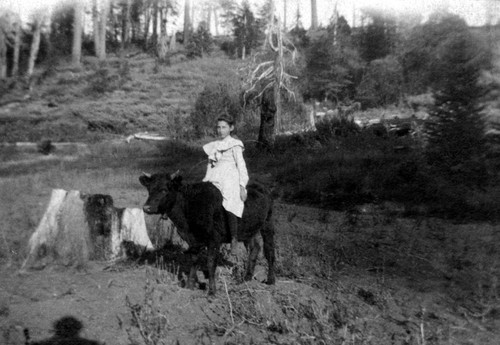 May on a cow