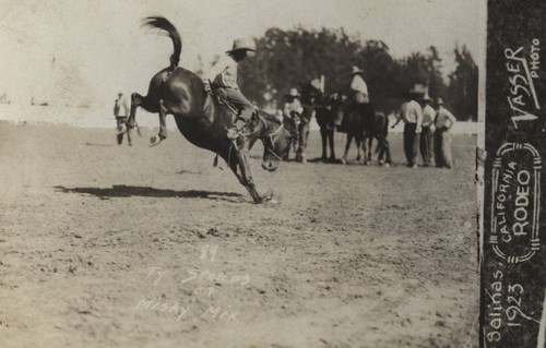 Ty Steakas, California Rodeo