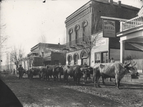 Oroville Street Scene