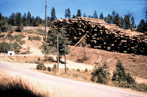 Log deck at Barton Hill Mill--Soper-Wheeler Company