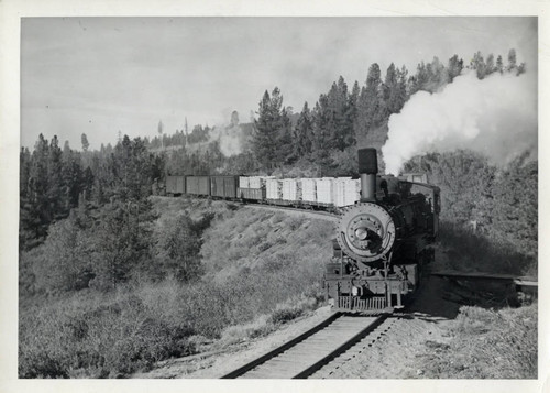 Steam Engine Hauling Lumber