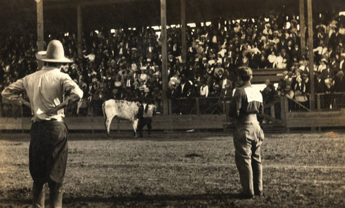 Stockton Rodeo — Calisphere