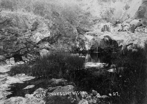 Cook's Springs