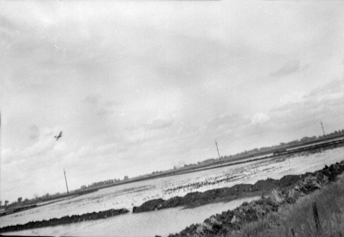 Seeding rice field by plane