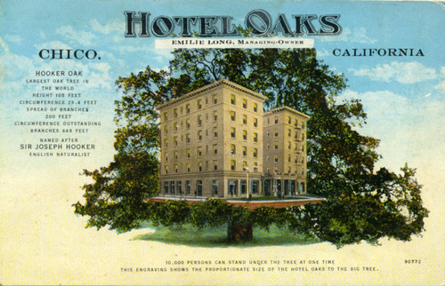 Hotel Oaks