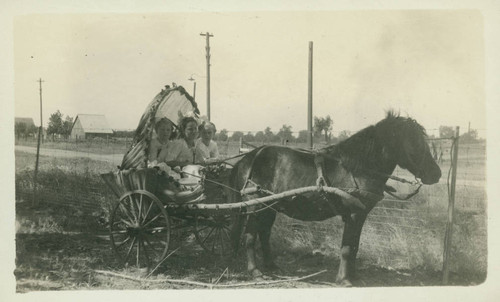 Pony Cart