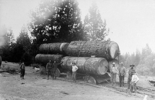 Log Wagon Stuck in Mud