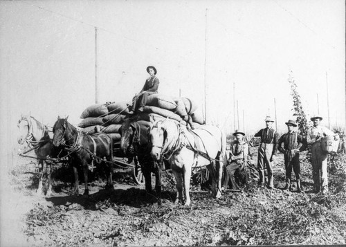 Hop Picking Crew