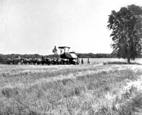 Making hay