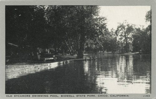 Old Sycamore swimming pool