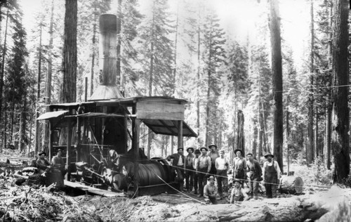 Group of Men logging