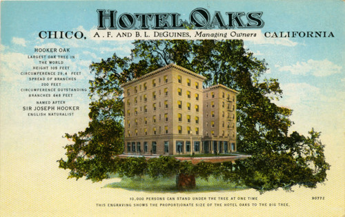 Hotel Oaks