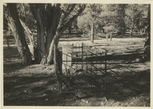 Grave of William Henry Ashurst