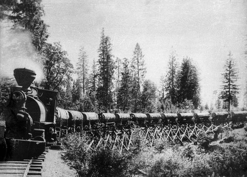 Sierra Lumber Company Logging Train