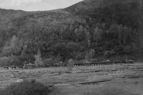 Horses and wagons at Bartlett Springs