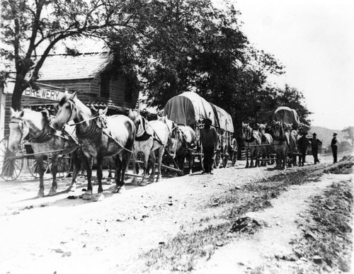 Covered Wagons