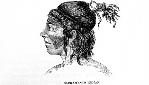 Illustration : Sacramento Indian