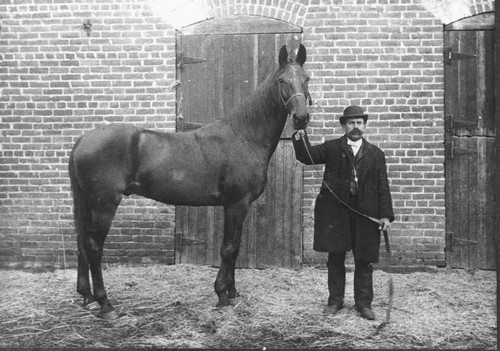 J. R. Freeman and Prize-Winning Horse