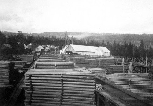 Diamond Match Mill at Lyonsville