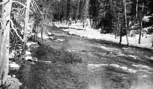 Robbers Creek in Snow