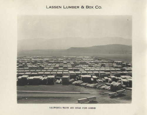 Lumber Piles