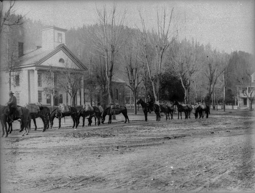 Pack horses in front of Court House, Quincy Ca