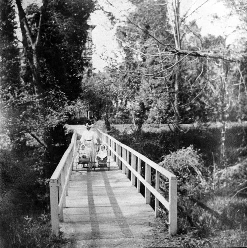 Bridge at Chico Creek