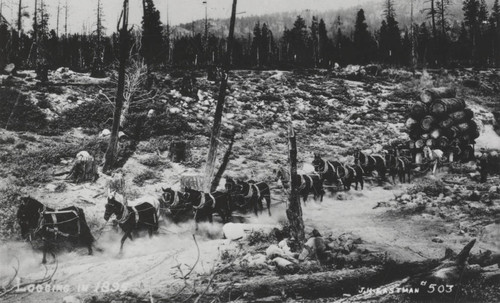 McCloud River Lumber Company