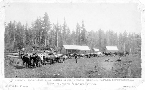 View of Northern California logging camp in the Sierra Nevada Mountains