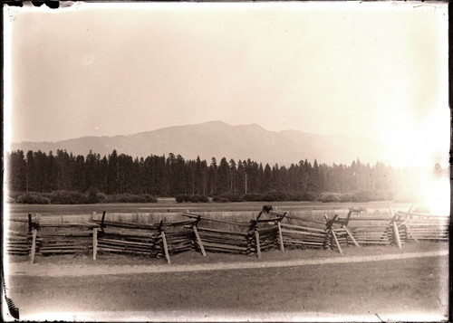 Split rail fence