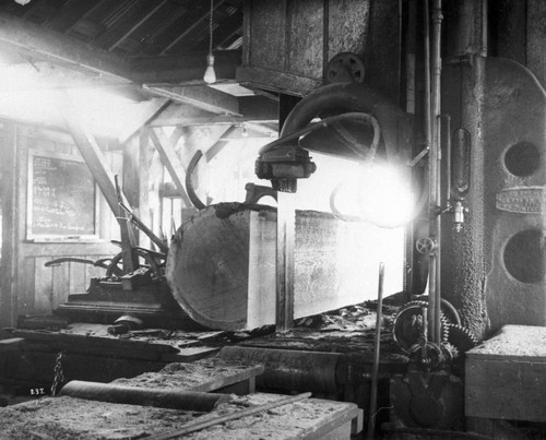 Inside the Saw Mill