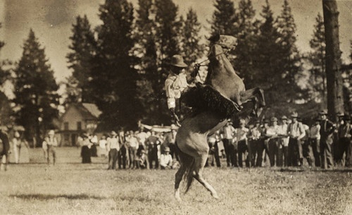 African American Cowboy