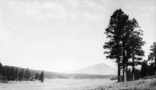 South Warner Mountains